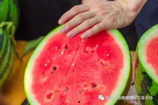 今日吃瓜学生校园什么网站 吃瓜是什么意思 网红吃瓜独家爆料反差